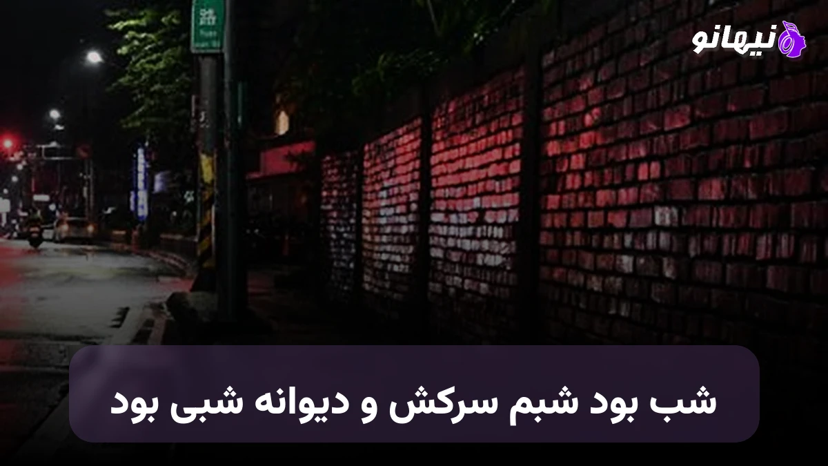 دانلود آهنگ شب بود شبم سرکش و دیوانه شبی بود  صدای زن